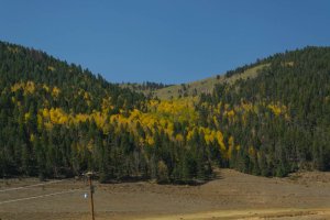 20201020FallColors2020088.jpg